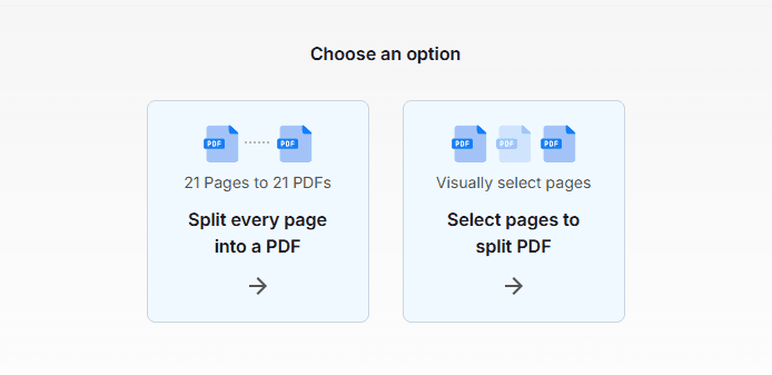 Screenshot of step 2 showing two options for splitting a PDF.