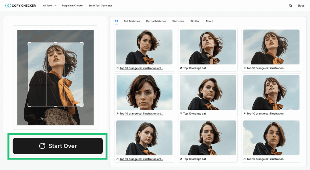 how-it-works-steps-screenshot