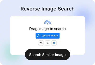 Reverse Image Search